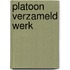 Platoon verzameld werk