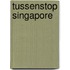 Tussenstop Singapore