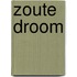 Zoute droom