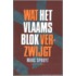 Wat het Vlaams Blok verzwijgt
