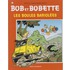 Les boulles bariolees