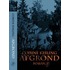 Afgrond
