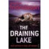 The Draining Lake