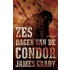 Zes dagen van de condor
