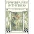 Flower Fairies Of The Trees