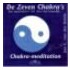 De zeven chakra's