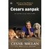 Cesars aanpak