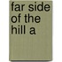 Far Side Of The Hill A