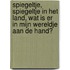 Spiegeltje, spiegeltje in het land, wat is er in mijn wereldje aan de hand?
