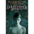 De meester