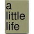 A little life