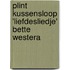 Plint kussensloop 'Liefdesliedje' Bette Westera