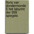 Floris van Dondermonde 5 Het labyrint der 999 spiegels