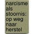 Narcisme als stoornis: op weg naar herstel