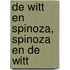 De Witt en Spinoza, Spinoza en De Witt