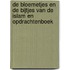 De bloemetjes en de bijtjes van de islam en opdrachtenboek