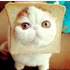 Cath83 