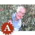 Otto Treurniet