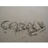 Conny Schelvis-mens